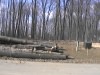 Logs from Street