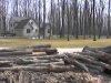 Logs towards street